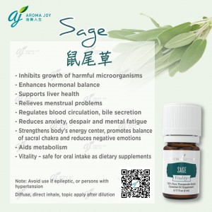 Sage Vitality 鼠尾草精油調味料